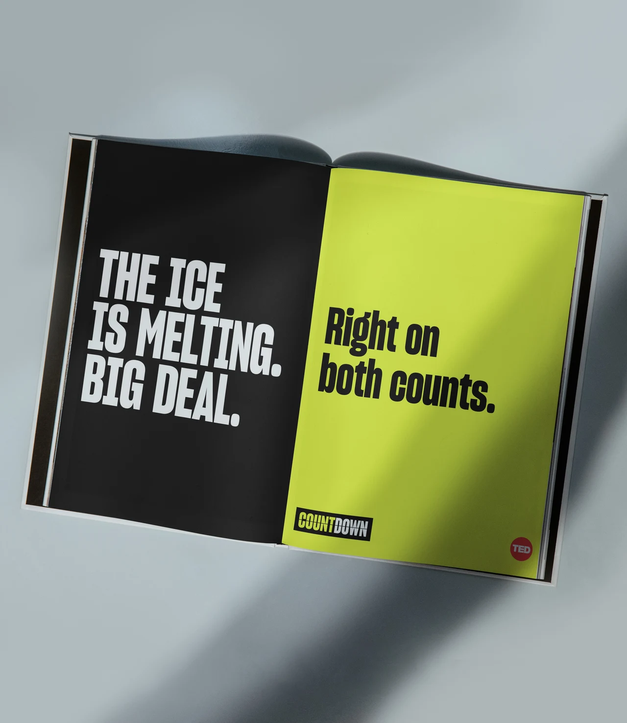 Double-page advertisement contrasts The ice is melting. Big deal on black with the response Right on both counts on lime yellow.