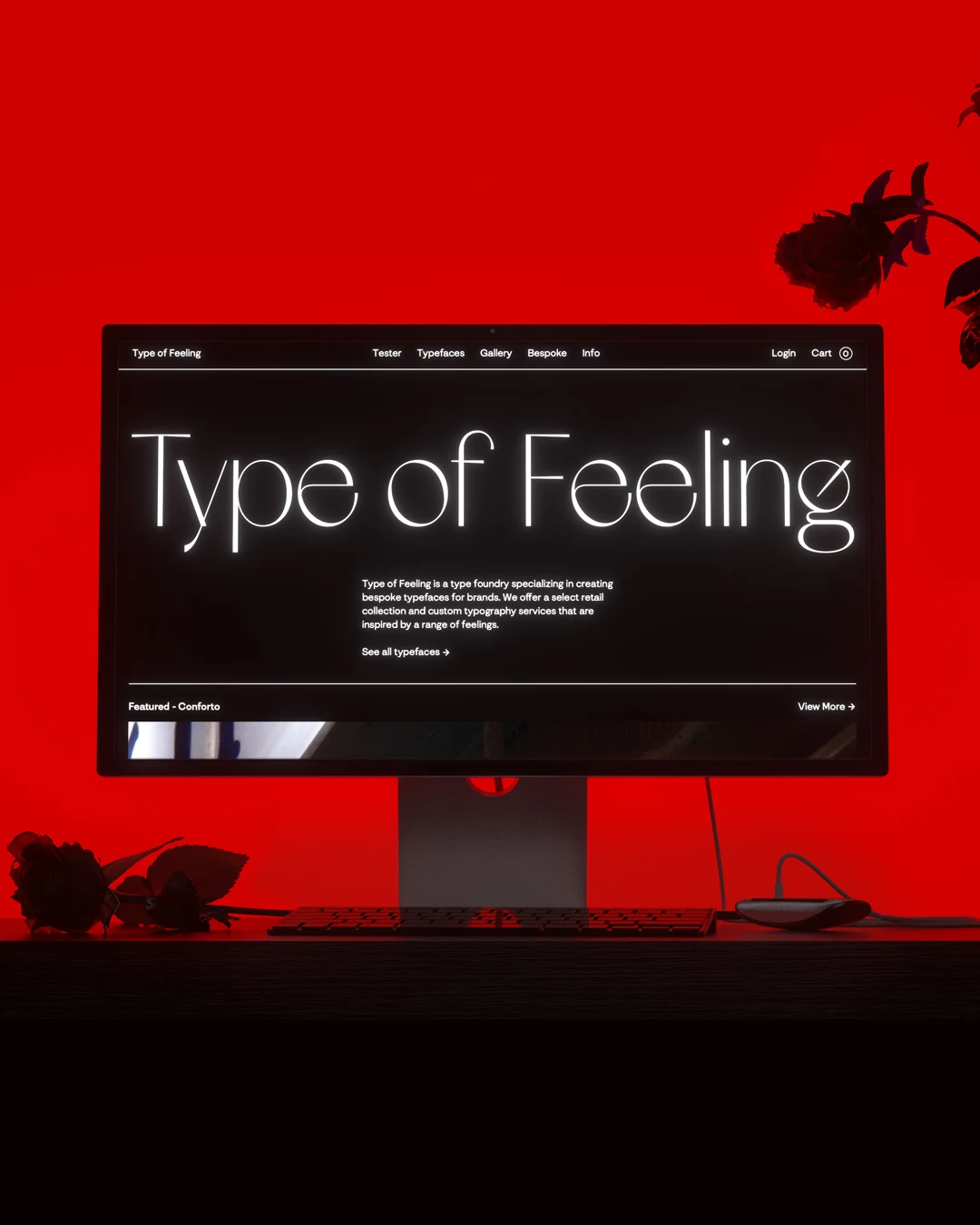 Photograph of a monitor on a desk with flowers and cables, lit in intense red; its screen shows the dark Type of Feeling homepage with its name in thin lettering.